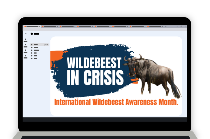 Laptop showing a "Wildebeest in Crisis" email, an example of a digital distraction